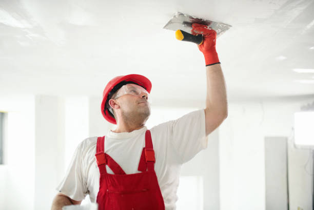 Best Water-Damaged Drywall Repair  in Erin, TN